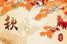 属兔的和属蛇的婚姻好吗 相互吸引 感情和睦