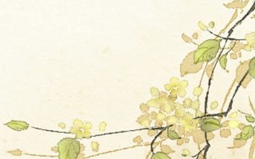 属牛和属狗2024年能结婚吗