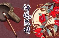 风水房间放啥植物夫妻感情好