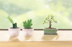 属牛住楼房几层最合适