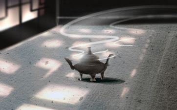 命宫主星是紫微贪狼什么意思