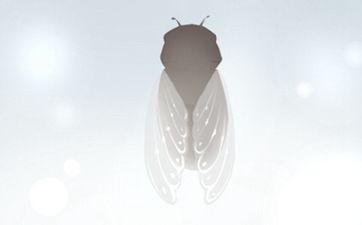 2024年农历八月二十八是黄道吉日吗 2024年八月二十八财神在哪个方向
