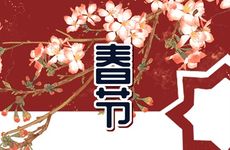 己未日柱在2024运势如何