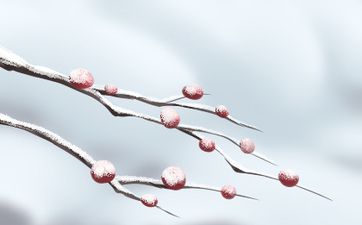 2025年8月1日安门几点开始最吉利 每日五行穿衣指南
