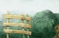 阳台种什么植物风水好 有什么讲究