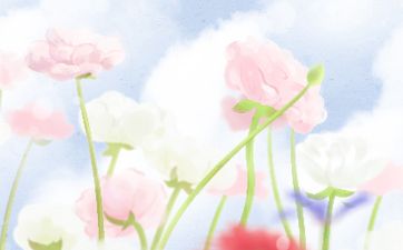 甲子日柱是什么命格,甲子日柱女命运
