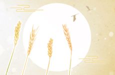 丁卯日柱出生男女八字命运如何婚姻幸福吗