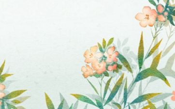海棠树能种在北方的后院吗 大门朝南