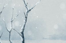 不愿结婚的生肖男
