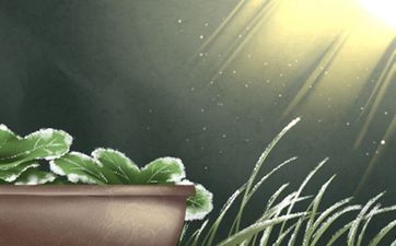 命宫化忌入夫妻宫痴情 命宫化忌入财帛宫不利夫妻感情