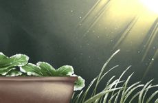 大寒节气能同房吗 这些人要注意