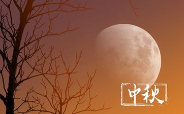 今天是迁坟吉日吗 2024年10月31日是黄道吉日吗
