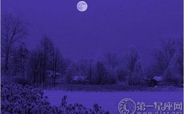 2024年情人节爱情运达到顶峰的四个星座运程分析