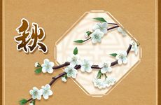 家里为什么不能放绿萝 有什么忌讳